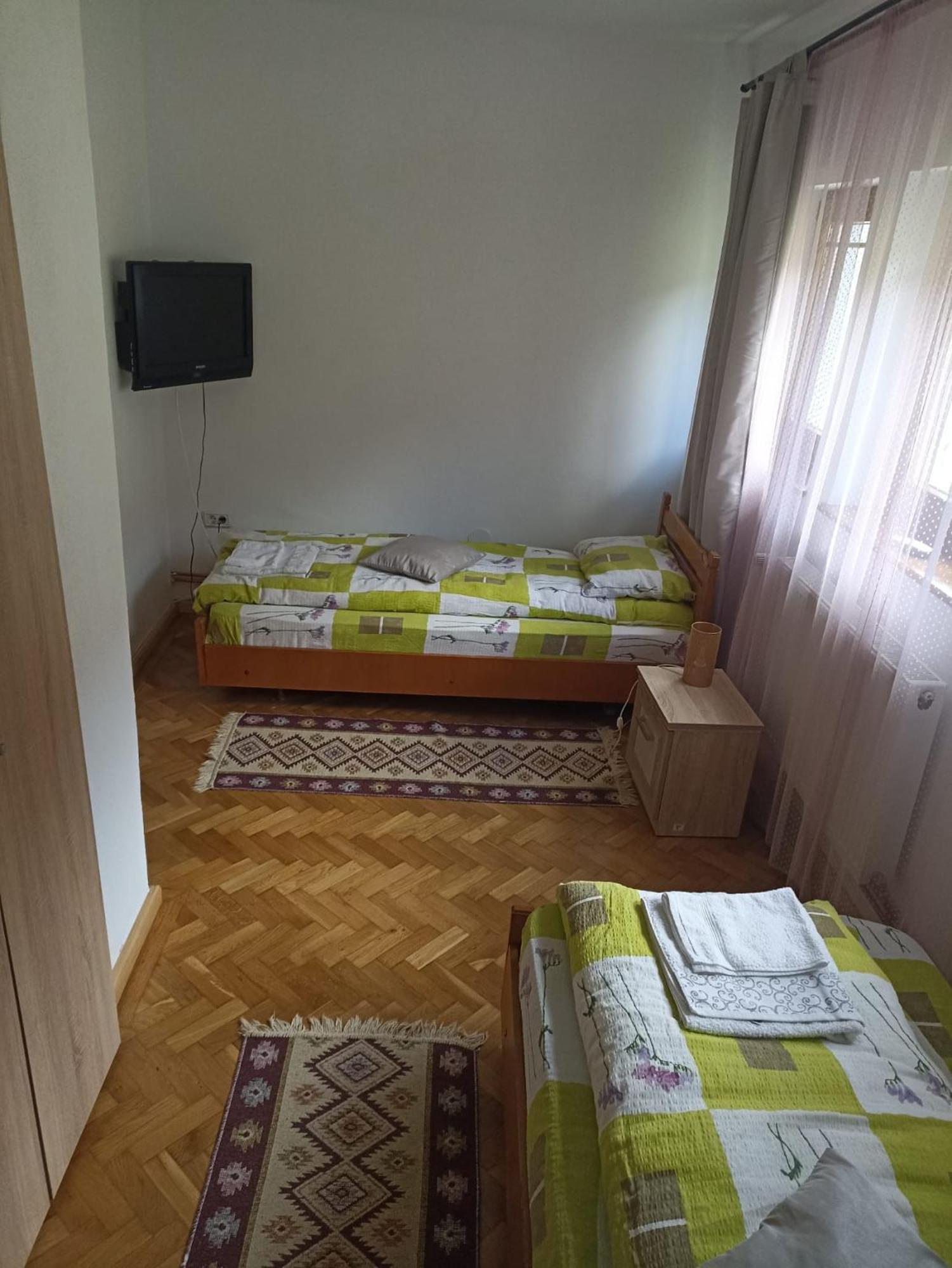 Pensiunea Costesti Екстериор снимка
